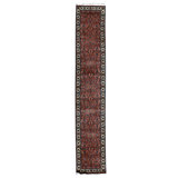 Wool Oriental Area Rug