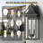 Alvester 18" H 2-Light Bronze Iron Outdoor Wall Lantern-976385882-986724626