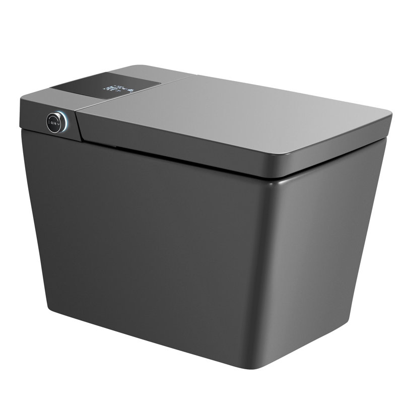Smart Toilet With Bidet Function, Tankless, Auto Flush, Heated Seat, Warm Wash/Dryer, Self-Clean Nozzle, Remote, Gray