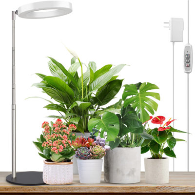 Grow Light, lampe à DEL pour plantes d'intérieur en pleine croissance, lampe de bureau à spectre complet avec minuterie automatique pour 4H / 8H / 12H, 4 niveaux d'intensité réglable, hauteur réglable de 9,8 "à 30,6"