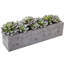 Succulent artificielle 2,25" en pot de fleurs