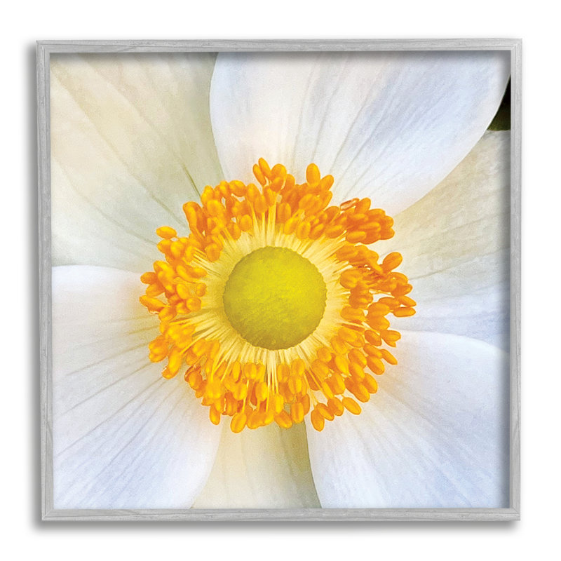 Gros plan sur une fleur blanche encadrée sur bois par JG Studios, H 24 po x l 24 po x P 1,5 po, Estampe numérique Farmhouse