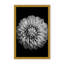 Nature Inspired Marigold by  - Picture Frame Photograph on Paper-81388029-131284511-131284589