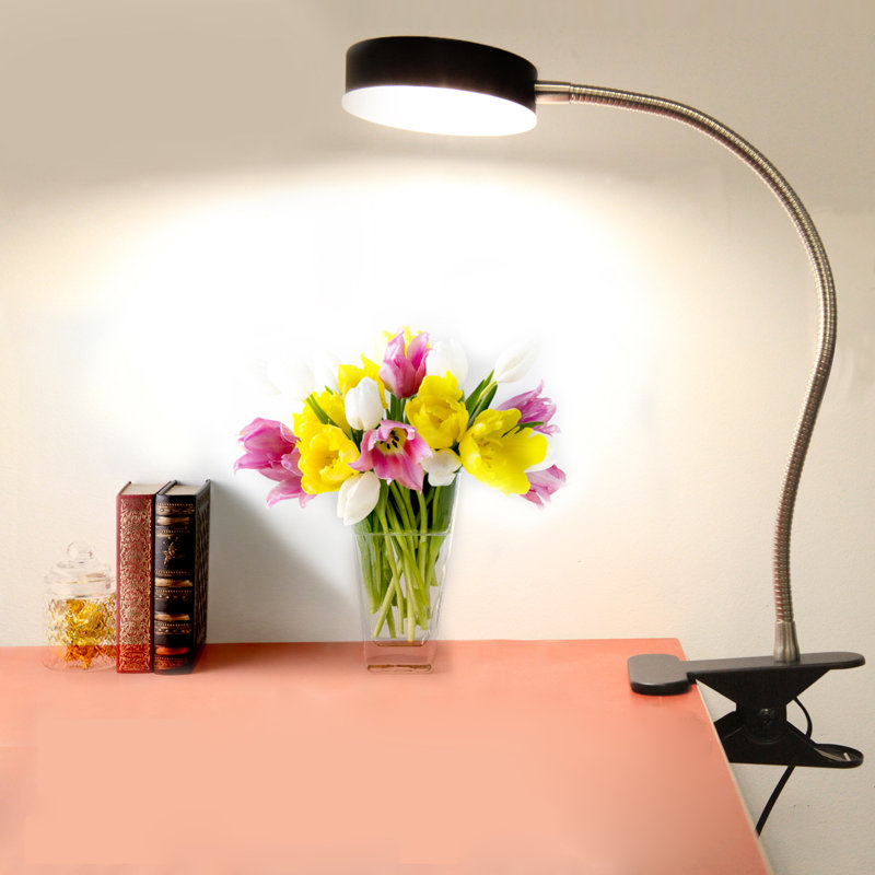 Lampe de travail moderne à pince noire, col-de-cygne flexible 20,5 po DEL, 4,5 W 4 000 K, pince robuste pour bureau, chevet, bureau