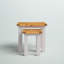 Cosette Nesting Tables