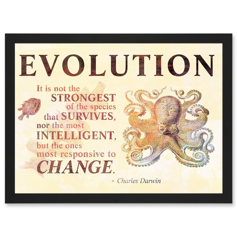 Evolution Darwin Responsive Change Strongest Quote Octopus - Single Picture Frame Print