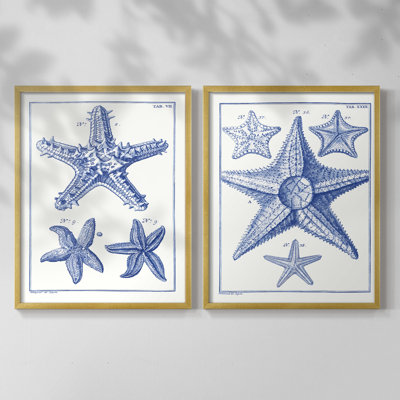 Impression encadrée Blue Sea Stars V-Premium - prête à être accrochée - aucun clou requis - aucun clou requis