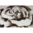Viers Performance Floral Indoor Rug-164030968