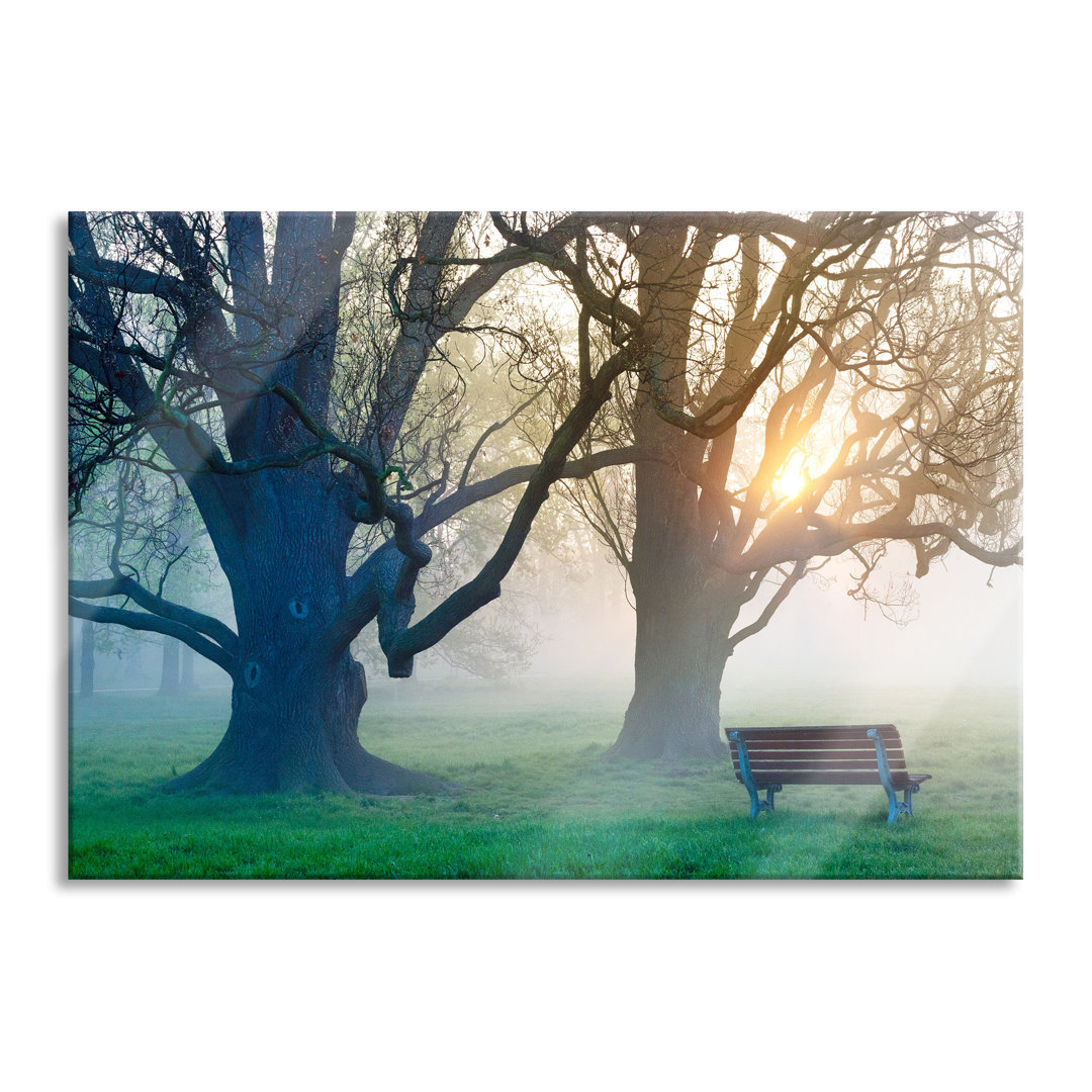 Glasbild Baum und Bank im Nebel