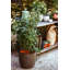 Pot Planter-69453564-69453565