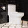 Compact ADA  Toilet  with High-Efficiency Dual Flush, Comfort Height with Upgraded Ultra-Thin Tank And Lid(Seat Included)