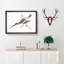 Hummingbird by Johan Teyler - Framed Print-55578800-55578803