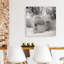 «Hudson Bay Bear», photographie-329774921-329774925