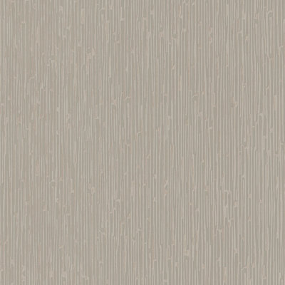 Strukturierte Tapete Alpha 10,05 m x 53 cm