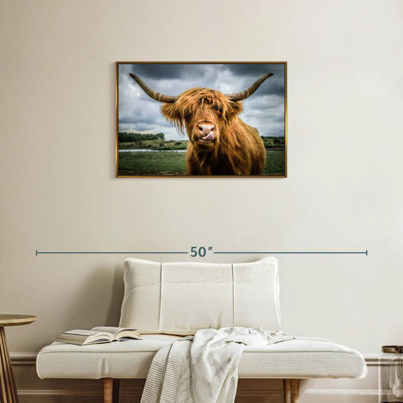 Silly Highland Cow, Cadre flottant doré, 31 po x 21 po