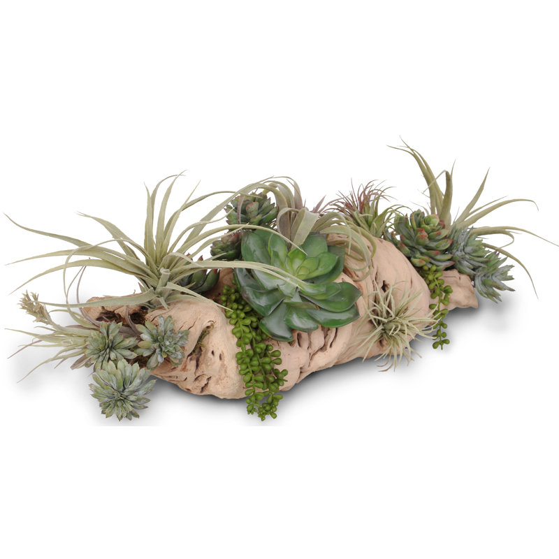 Faux Succulent Plant in Wood Pot