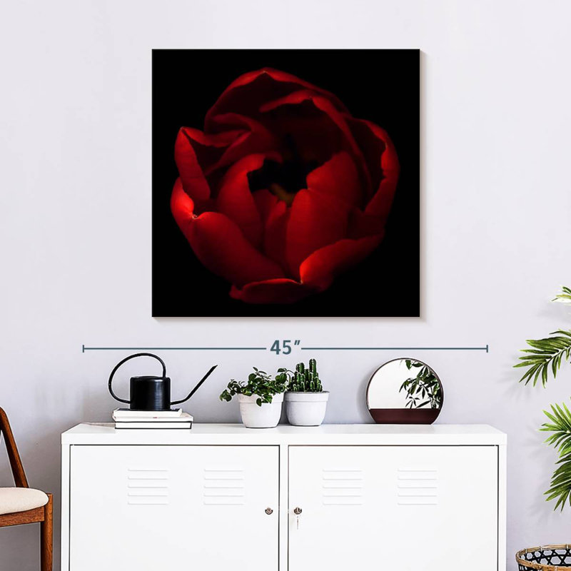 Harnek Big Red, 30" H x 30" W