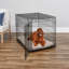 La cage pour chien iCrate à une porte nouvellement améliorée de MidWest Homes For Pets comprend un panneau de séparation-31132743