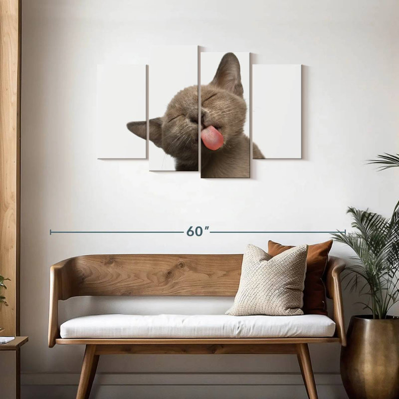 La langue de chat Brampt