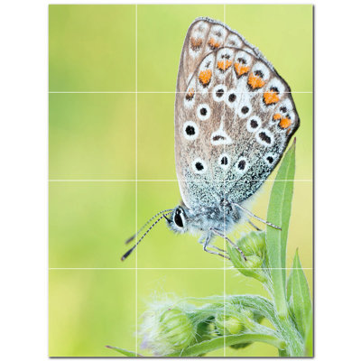 Murale décorative en céramique 8 po x 8 po Butterfly Photo