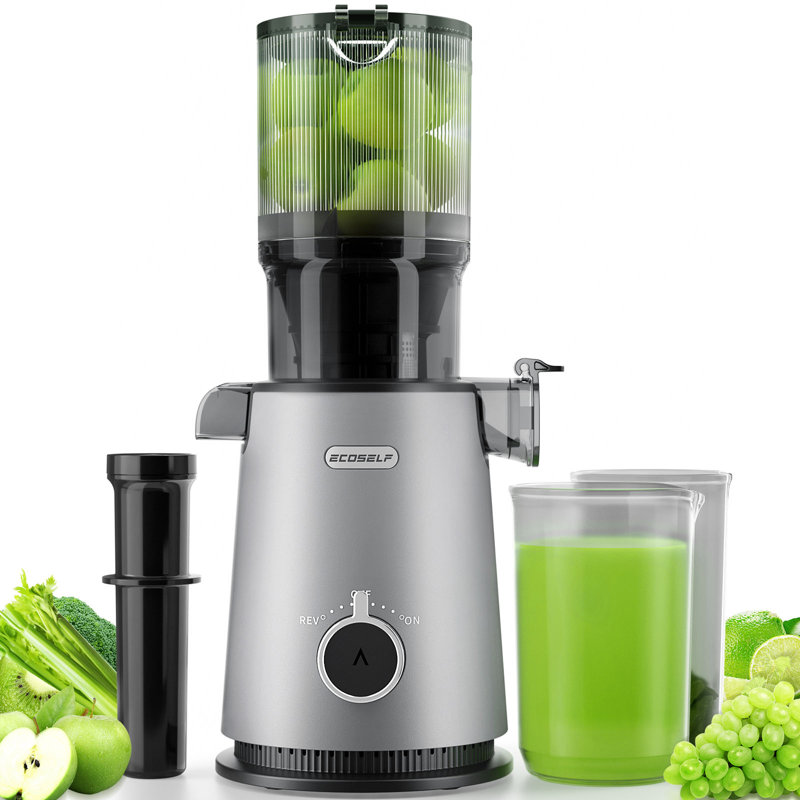 ECOSELF Cold Press Juicer with 4.35" Large Feed Chute Fit Whole Fruits and Vegetables & Easy to Clean, Silver