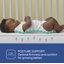 Sealy FlexCool 2-Stage Waterproof Baby Crib and Toddler Mattress