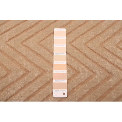 Kashkuli Gabbeh Beige, Tan Rug 7'9" x 11'1"