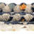 Gosnold Geometric Indoor Rug-402944754