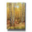 «Solid Gold II» par Lori Deiter, art mural sur toile-1565958080