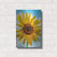 "Garde debout" par Pamela Plummer-811770859
