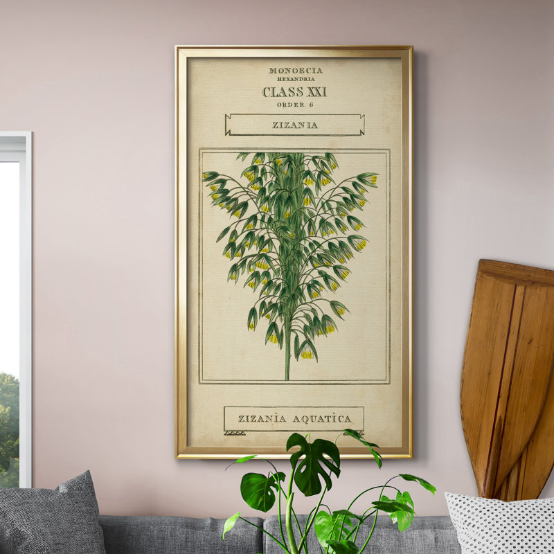 Linnaean Botany I - peinture sur toile encadrée, Doré, H 22,5 po x l 42,5 po x P 1,5 po