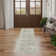 Louque Oriental Indoor Rug