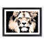 Lion in Abstract - Picture Frame Graphic Art Print-55761307-55761310
