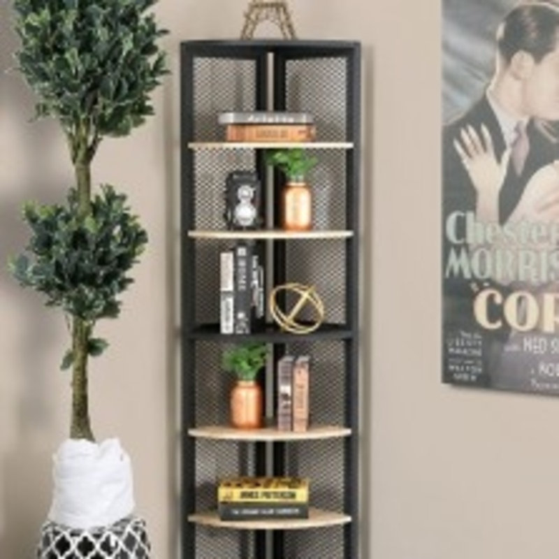 Moskowitz Corner Bookcase