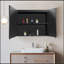 Sophisticated 30X26 Inch Black LED Mirror Medicine Cabinet Surface, Defogger, Anti-Fog,Dimmable Lights Brightness Memory