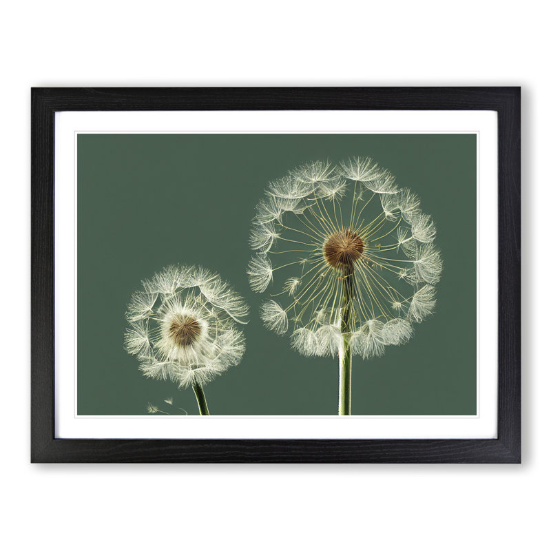 Ethereal Dandelion Flowers - Framed Print, Black, 34cm H x 46cm W x 2cm D