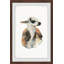 Laying Llama - Single Picture Frame Painting-752137657
