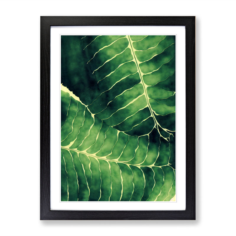 Aagman Fern Leaf In Watercolour Vol.2 1 Piece Single Picture Frame Wall Art, 34cm H x 25cm W x 2cm D, Black