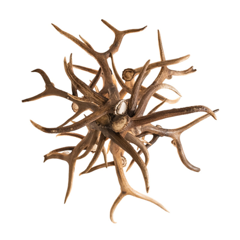 Antlers 8 - Light Chandelier
