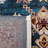 Bayside Performance Machine Washable Oriental Rug-858053230
