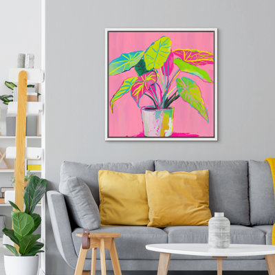 Green Plant Against Pink Background Bright Pictures