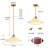 Mid Century Pendant Lamp Gold Nordic-1759168695