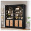 Bibliothèque haute avec portes en rotin et éclairage DEL, meuble de rangement réglable à 4 niveaux pour salon et bureau, noir