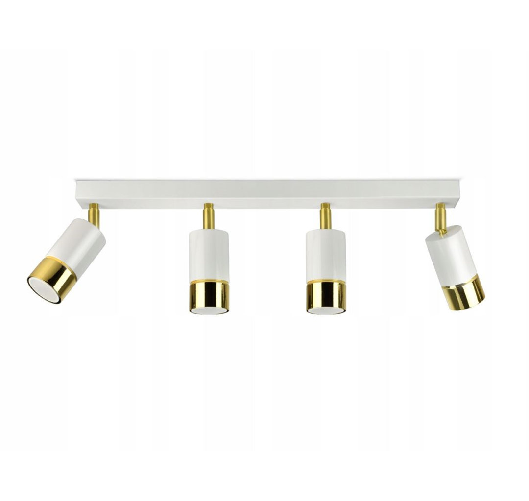 Amalina 4-Light 60cm Celling Spotlight