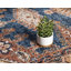 Tapis brun à motif oriental Ulla-40278495