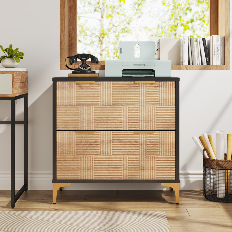 Tavain 31.5'' Wide 2 -Drawer File Cabinet, Natural/Black