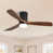 Black Body with Brown Blade