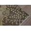 Tapis moderne, grands tapis de 5,6 x 9,2 pi, tapis de luxe, tapis en laine beige, tapis turcs, tapis rétro