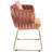Dining Chair with Metal Frame