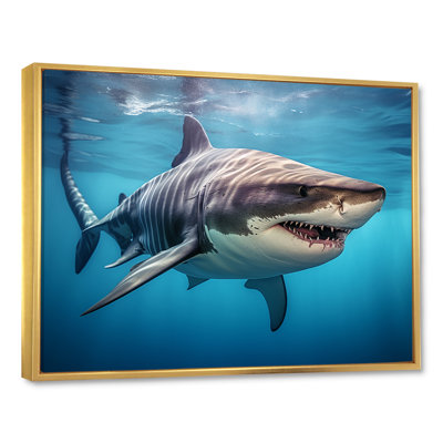 Tiger Shark Territory III - Shark Framed Wall Art